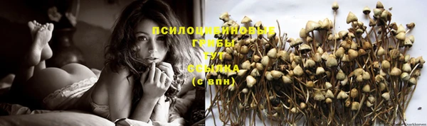 гидропоника Яранск