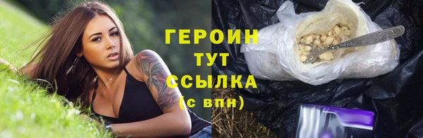 гидра Няндома