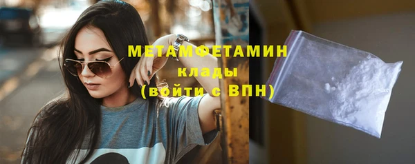 гидра Няндома