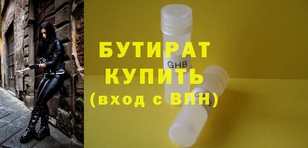 гидра Няндома