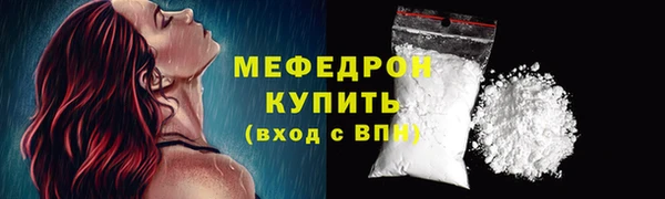 гидра Няндома