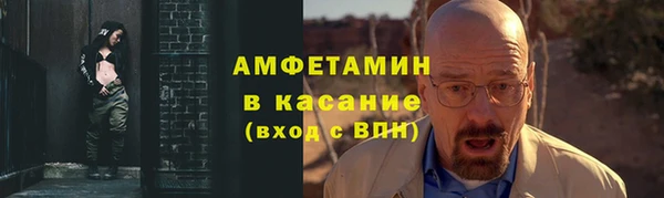 гидра Няндома