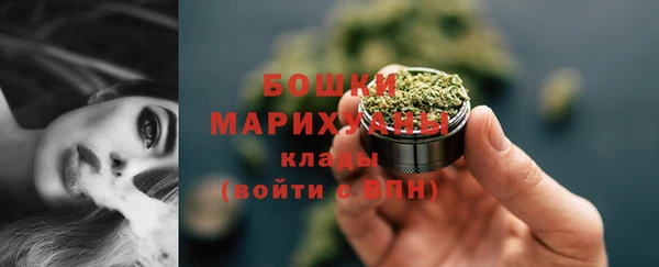 гидра Няндома