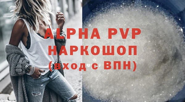 гидра Няндома