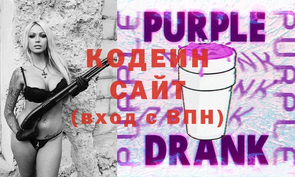 гидра Няндома
