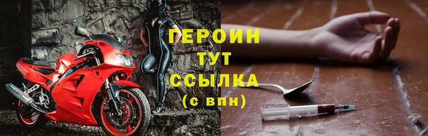гидра Няндома