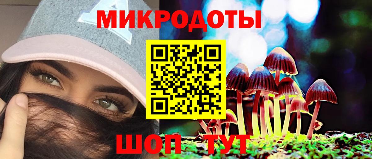 Галлюциногенные грибы Psilocybine cubensis  Вход с VPN  Псилоцибиновые грибы Psilocybe  Энгельс 